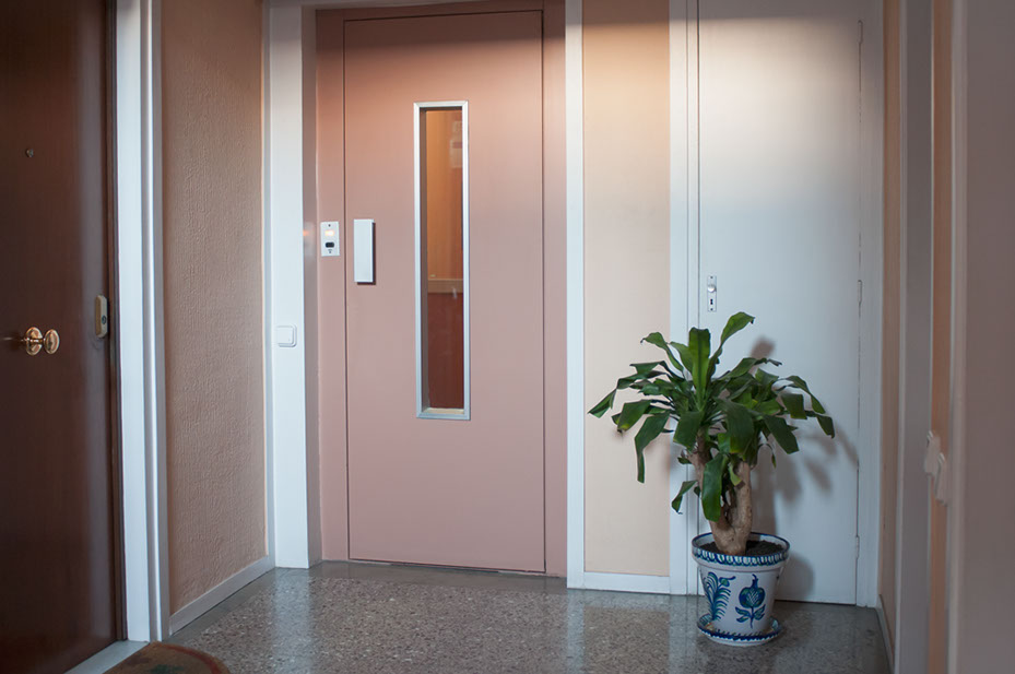 romanle, roman le, #romanle, @romanle